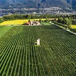 La Quercia By Fewotessin * Ascona