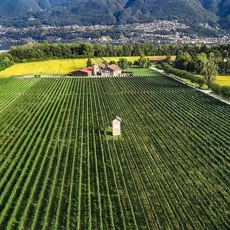 La Quercia By Fewotessin * Ascona